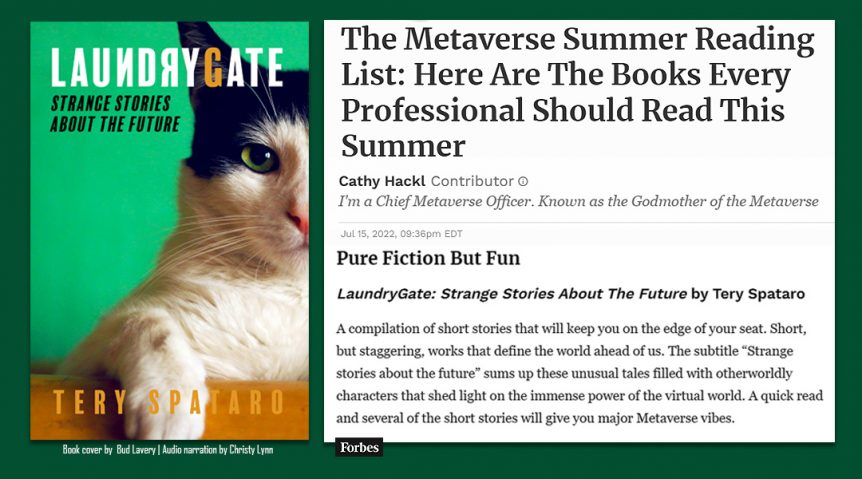 Cathy Hackl Metaverse Summer Reading List Laundrygate delivers Metaverse Vibes