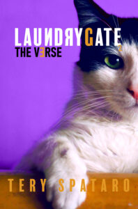 Laundrygate V2 Tery Spataro book cover