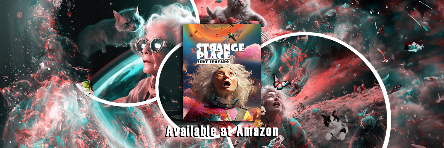 Strange Place Book By Tery Spataro