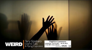 Weird Fugitive Commons Lynn NFT Art Museuem Bric Boca 2025-2026