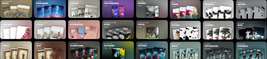 portfolio